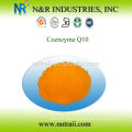 Poudre Coenzyme Q10 98%